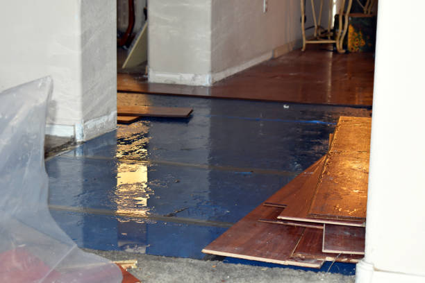 Professional Burst Pipe Cleanup technician working in Delta, OH